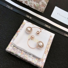 Christian Dior Earrings